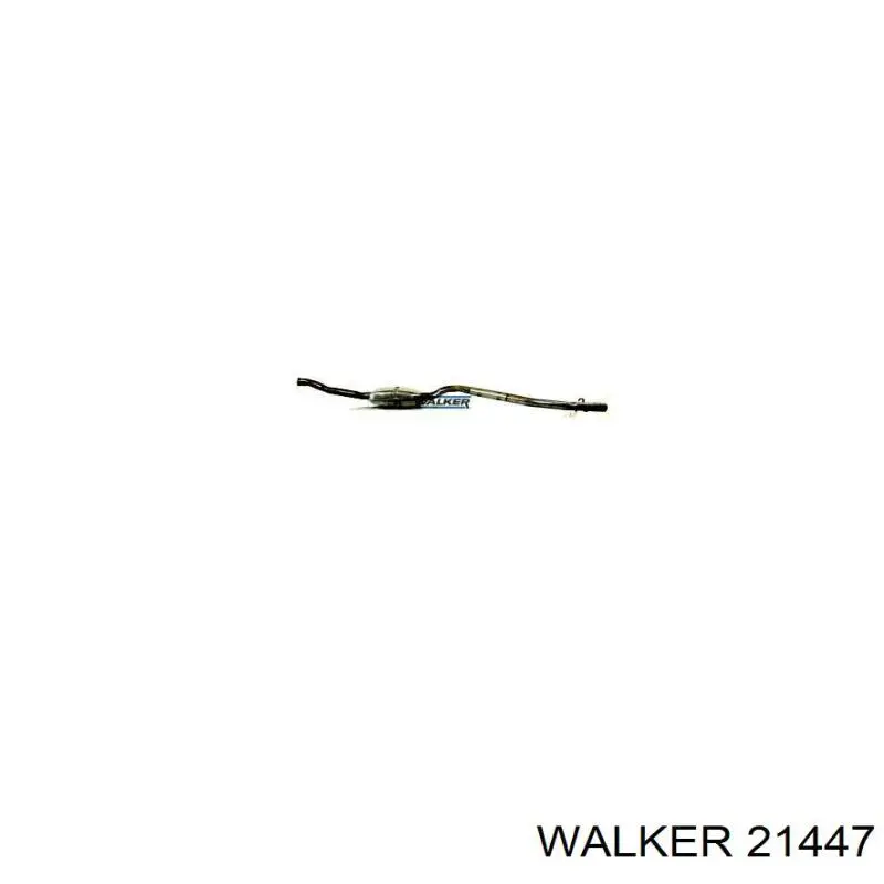  21447 Walker