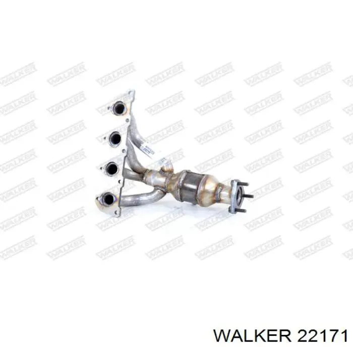  22171 Walker