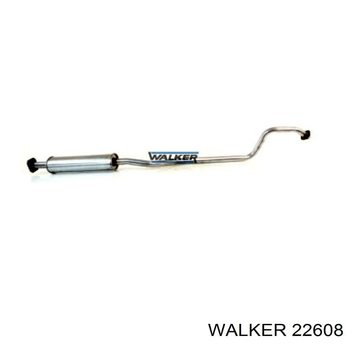  22608 Walker