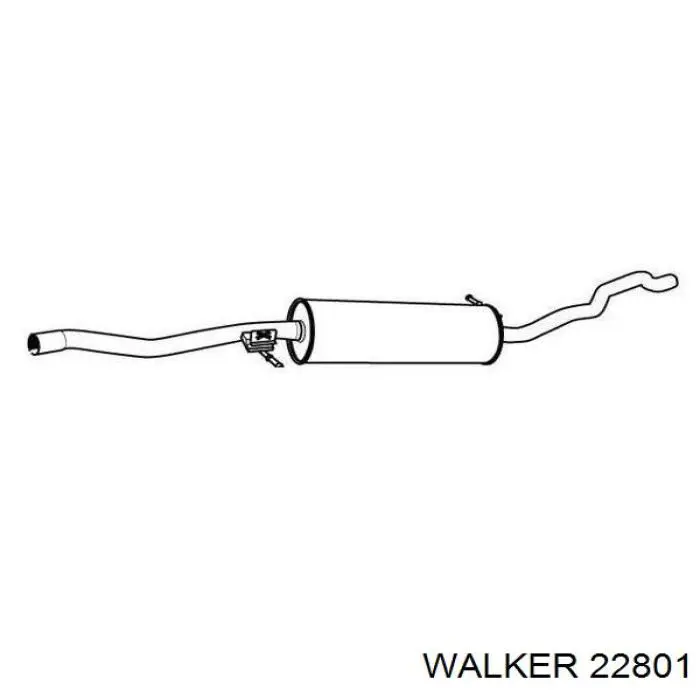  22801 Walker