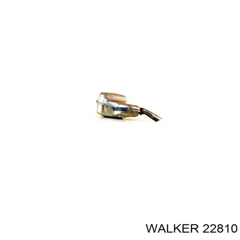  22810 Walker