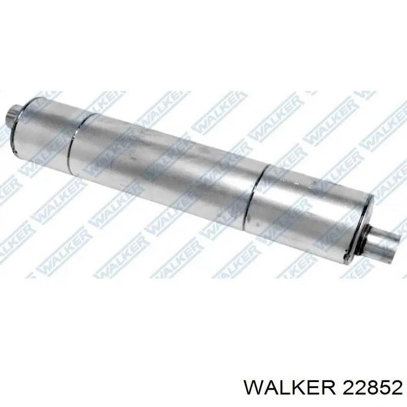  22852 Walker