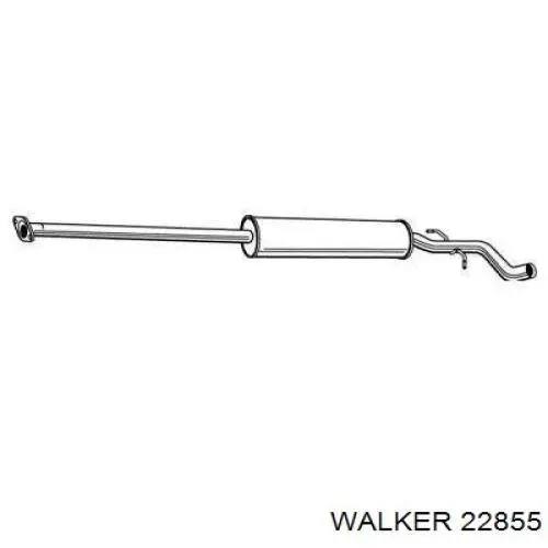  22855 Walker