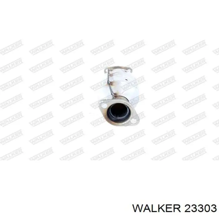 23303 Walker