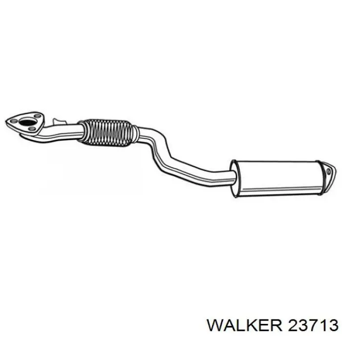  23713 Walker