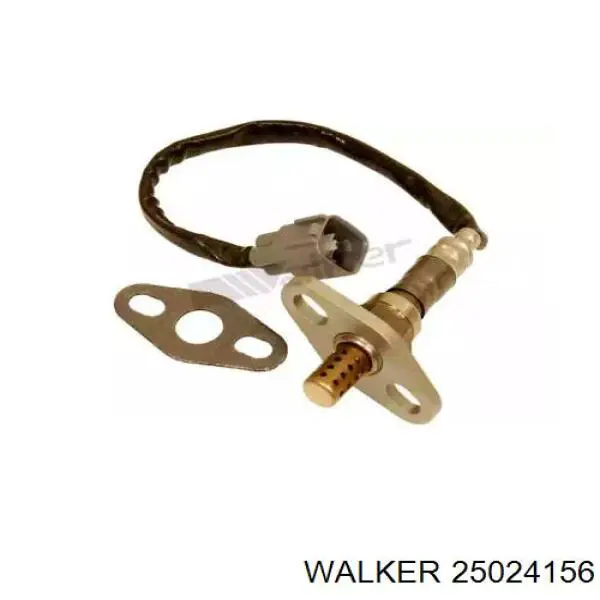  25024156 Walker