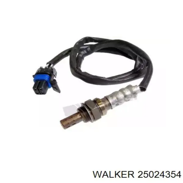  25024354 Walker