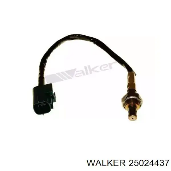 25024437 Walker лямбда-зонд, датчик кислорода до катализатора