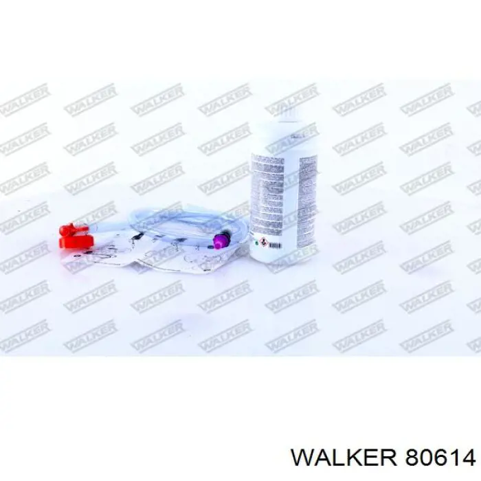 80614 Walker 
