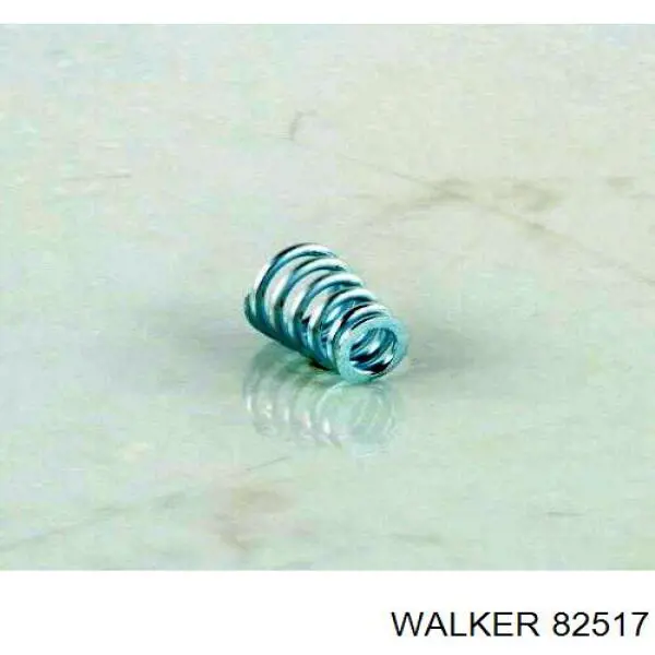  82517 Walker