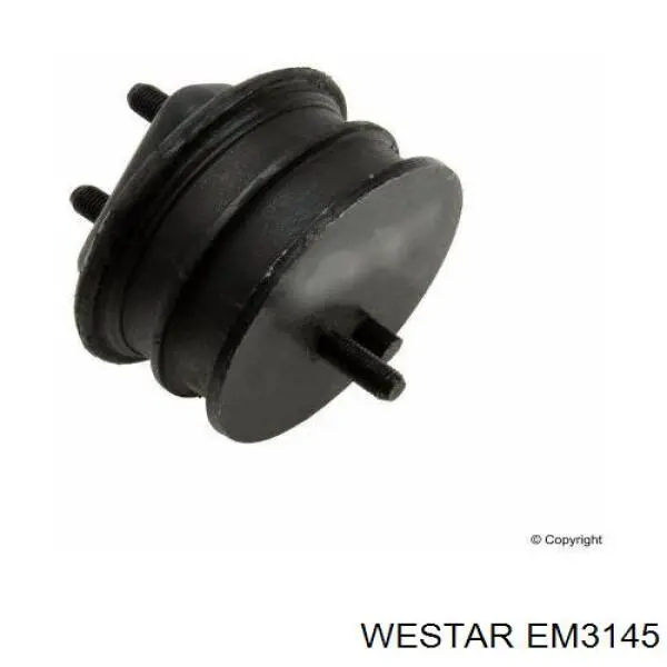  EM3145 Westar