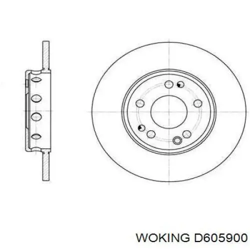 Передние тормозные диски D605900 Woking