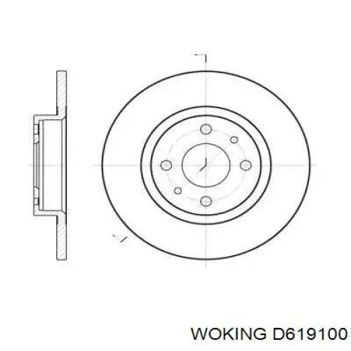 Передние тормозные диски D619100 Woking