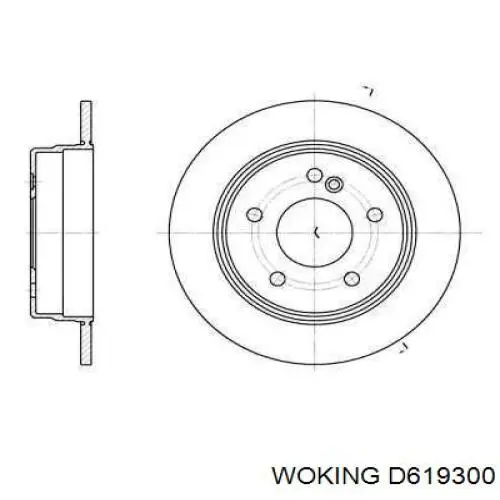 Тормозные диски D619300 Woking