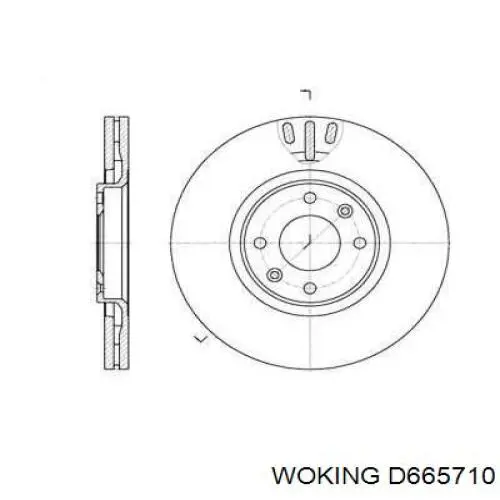 Передние тормозные диски D665710 Woking