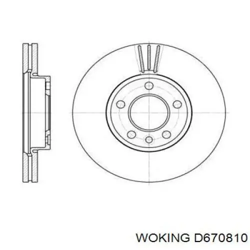 Передние тормозные диски D670810 Woking