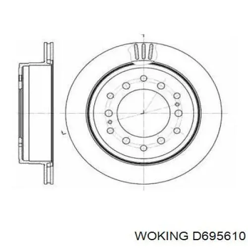 Тормозные диски D695610 Woking