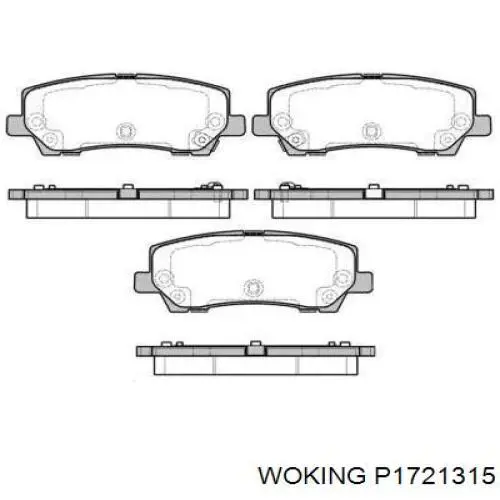 Задние тормозные колодки P1721315 Woking