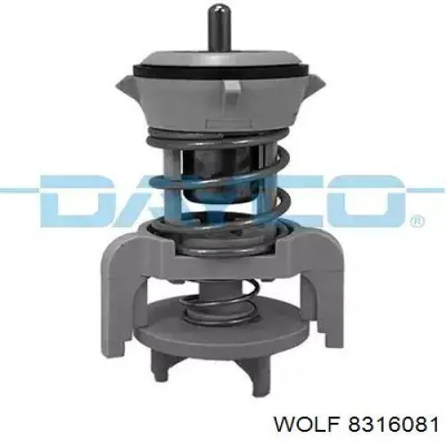 Купить 8316081 Wolf Антифриз универсальный