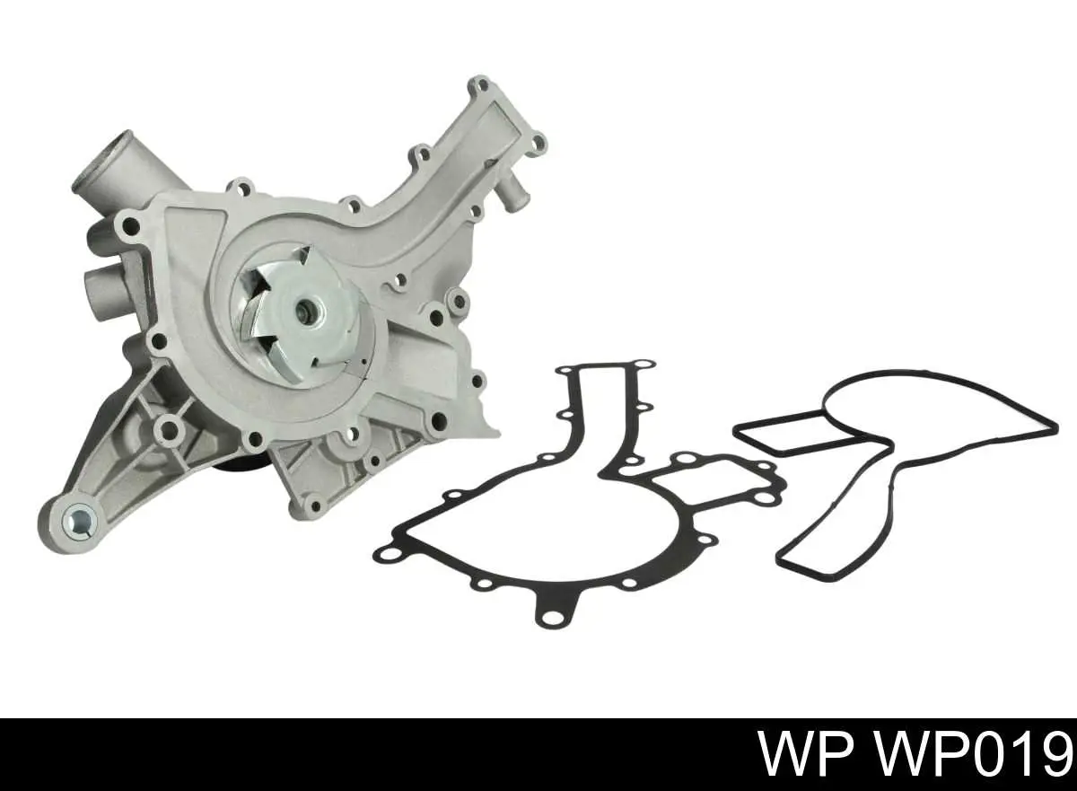  WP019 WP