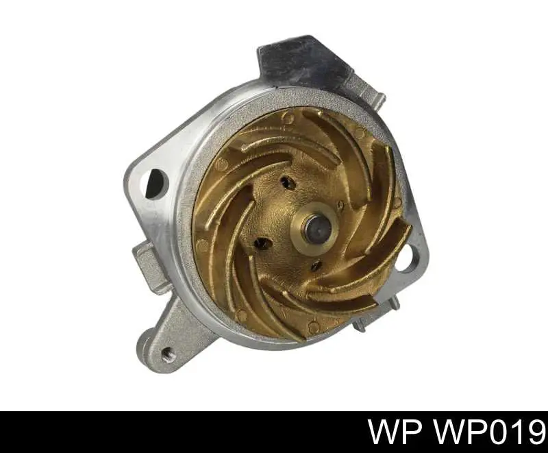  WP 019