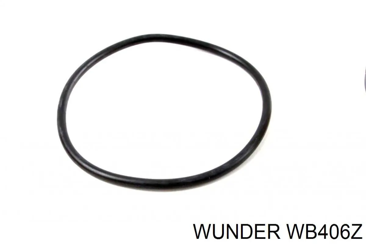 Filtro combustible WB406Z Wunder