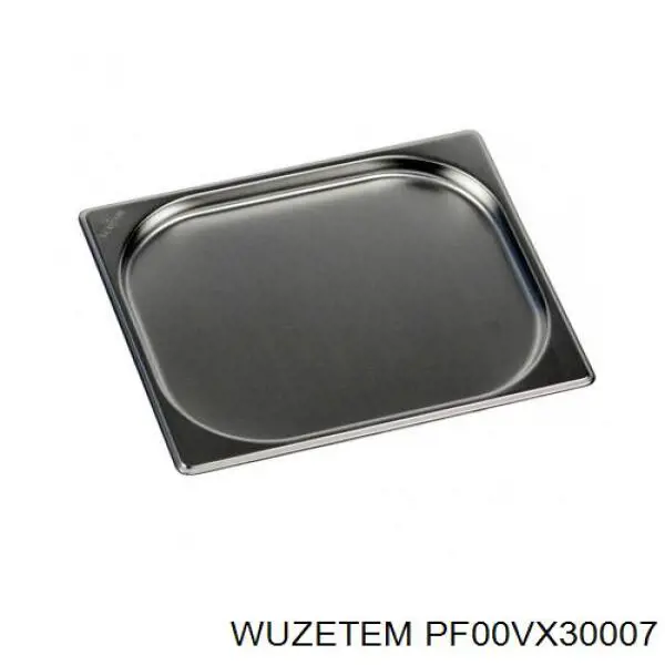 PF00VX30007 Wuzetem Распылитель форсунки