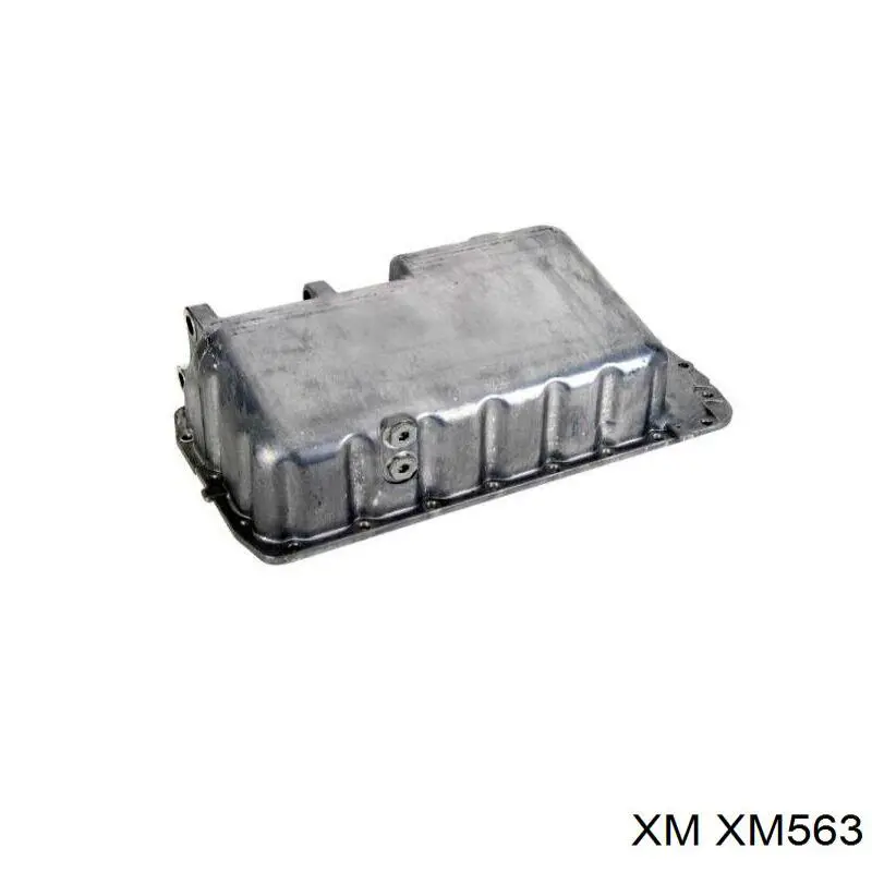 XM563 XM Ролик натяжителя ремня ГРМ