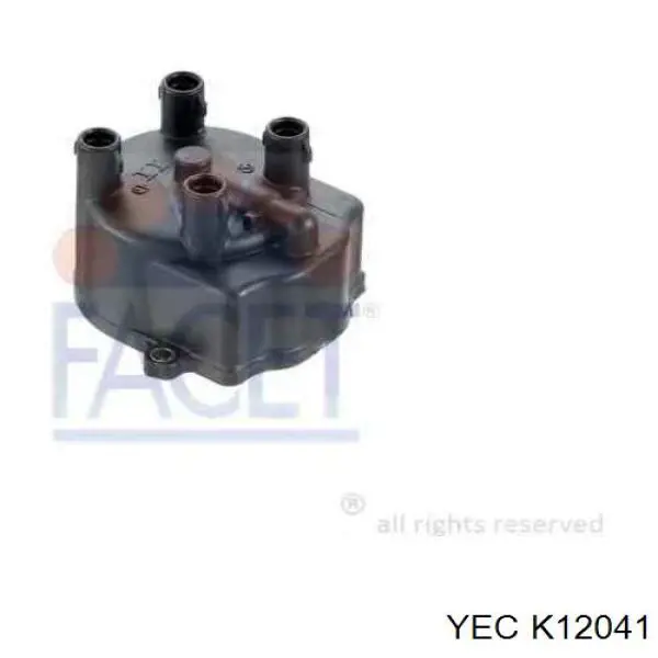  K12041 YEC