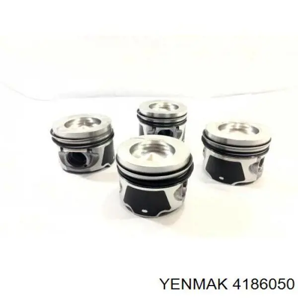 Купить 4186050 Yenmak Поршень в сборе