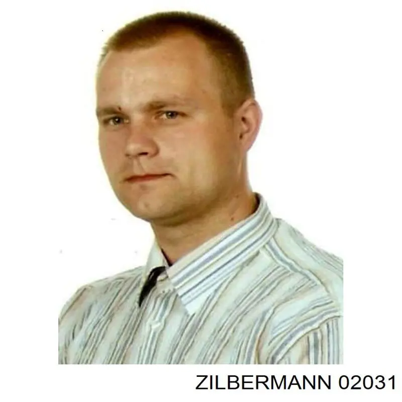 Купить 02031 Zilbermann Ролик двери боковой (сдвижной) правый нижний