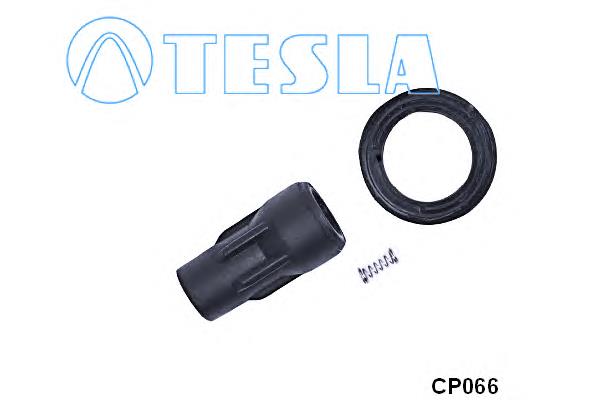 CP066 Tesla bobina de ignição