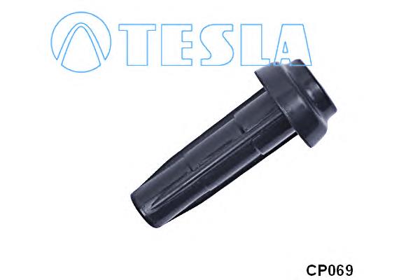 CP069 Tesla ponta da vela de ignição