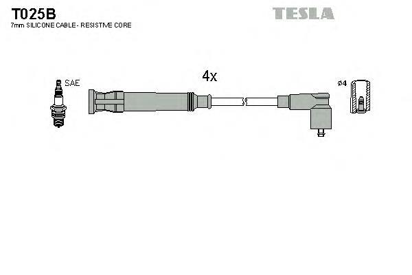 T025B Tesla 