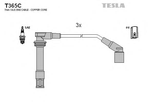 T365C Tesla 