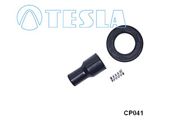 CP041 Tesla Катушка зажигания