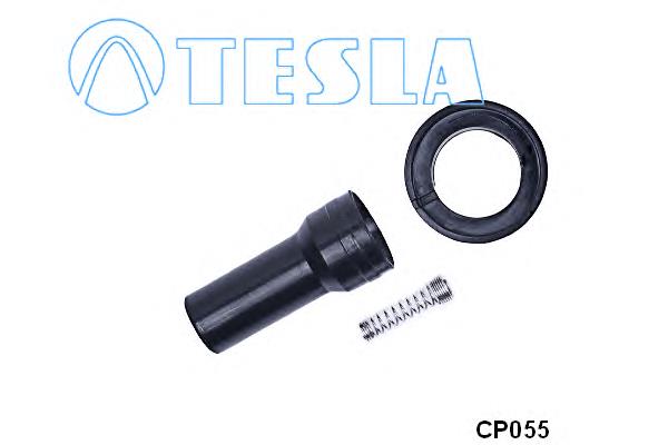 CP055 Tesla bobina de ignição