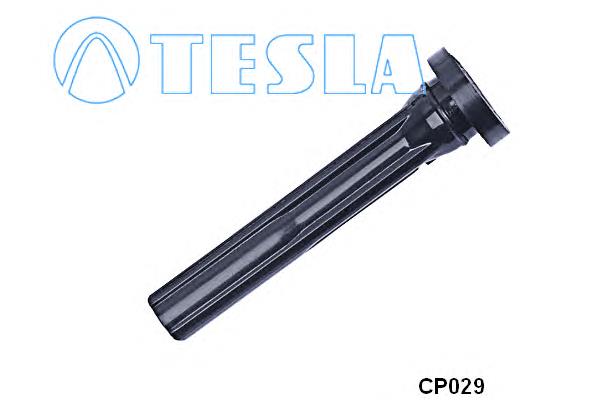 CP029 Tesla ponta da vela de ignição