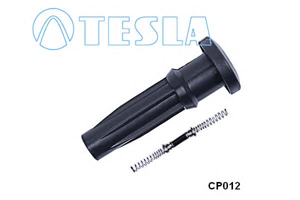 CP012 Tesla ponta da vela de ignição