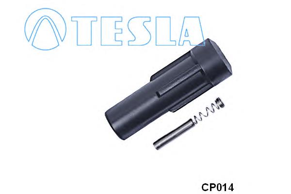 CP014 Tesla bobina de ignição