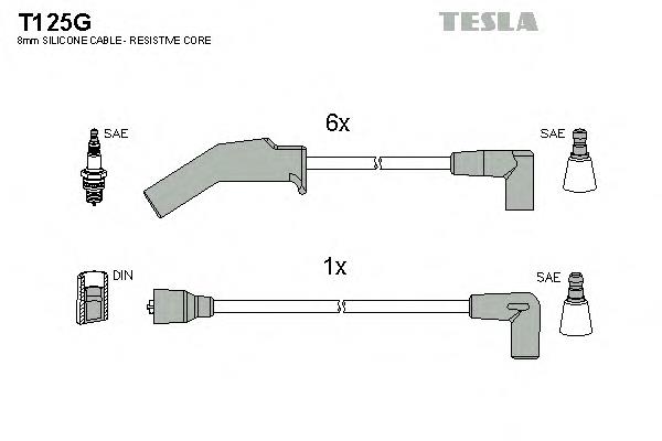  T125G Tesla