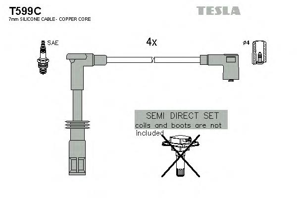 T599C Tesla 