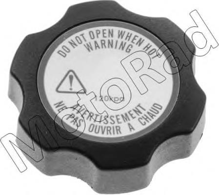 Купить 4137897FINIS Ford 