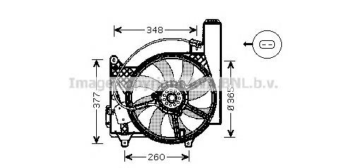  OL7531 Prasco