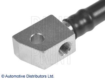 ADZ95344 Blue Print 