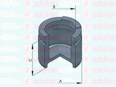 D025311 Autofren