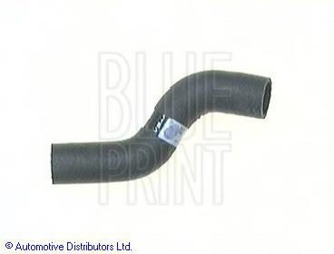 Mangueira (cano derivado) do radiador de esfriamento superior ADT39311 Blue Print