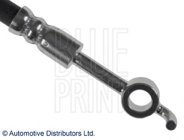 ADM55312 Blue Print mangueira do freio dianteira