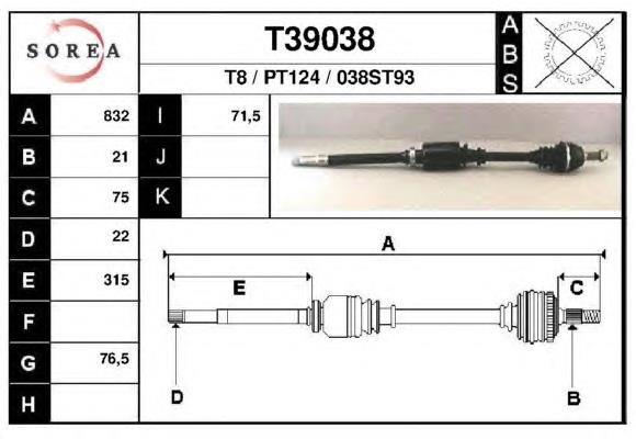 T8 Friesen 