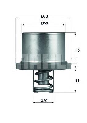 THD289 Mahle Original termostato